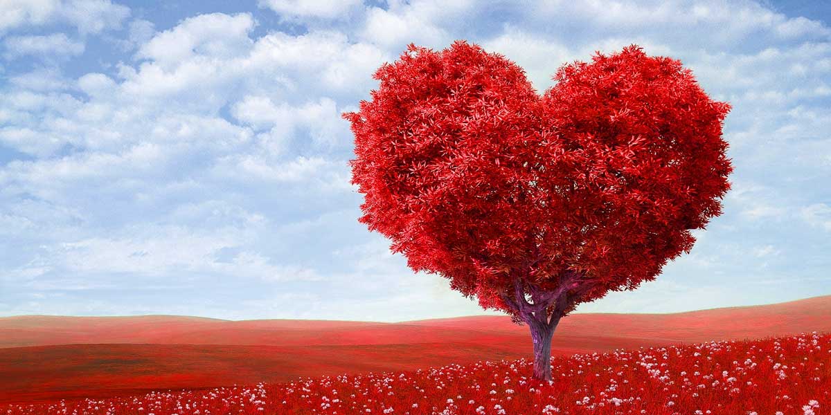 TYLKO DLA ZAKOCHANYCH