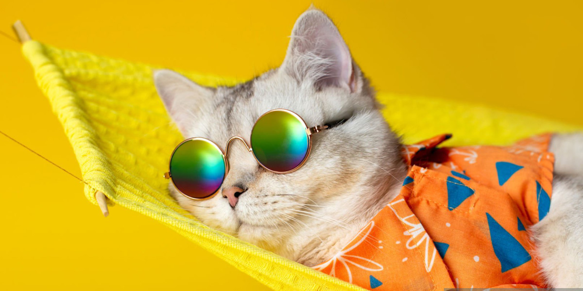 DLA KOCIEGO PUPILA I ...