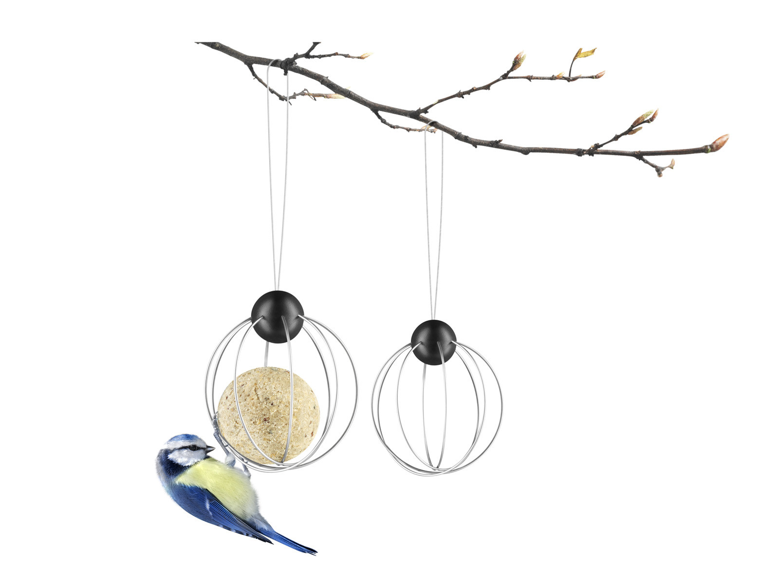 Karmnik na kule tłuszczowe dla ptaków zestaw x2 Eva Solo Suet Feeder Set 