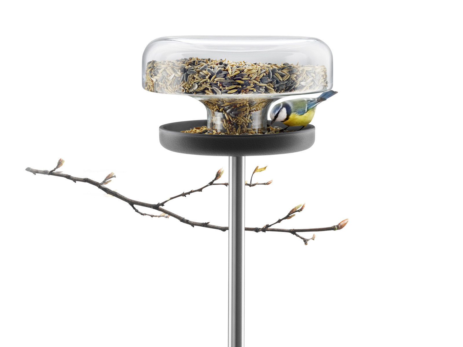 Karmnik dla ptaków Eva Solo Bird Table Glass 2 L