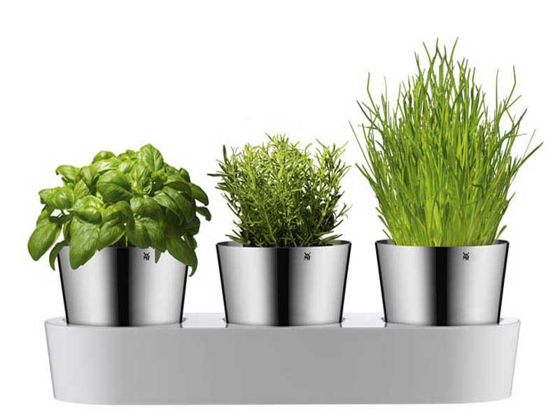 Doniczka na zioła x3 z podstawką nawadniającą WMF Gourmet