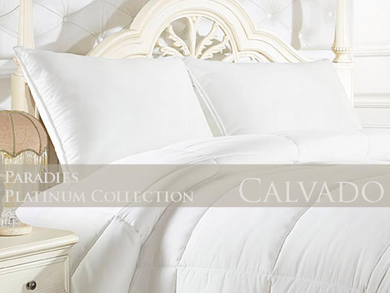 Poduszka puchowa Paradies Platinum Crystal 40x40