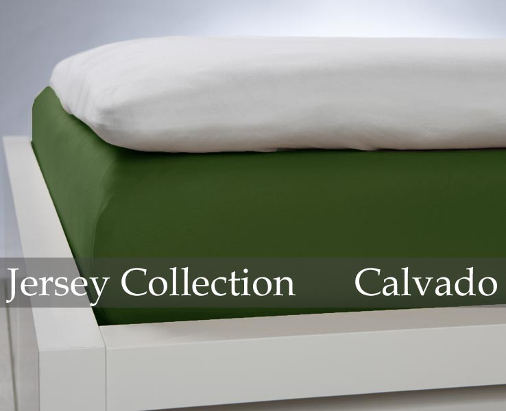 Prześcieradło Jersey Cactus