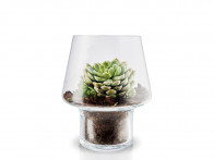 Wazon szklany Eva Solo Succulent Glass M..