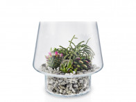 Wazon szklany Eva Solo Succulent Glass L..