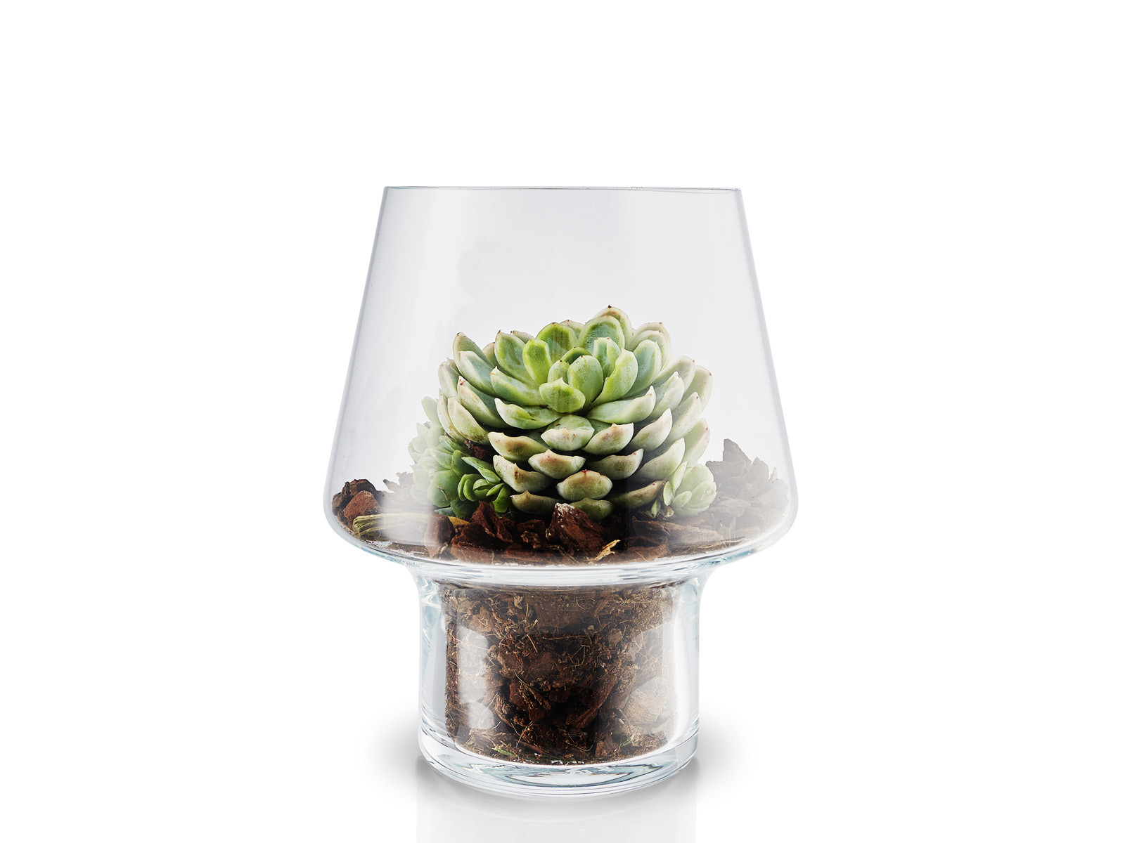 Wazon szklany Eva Solo Succulent Glass M