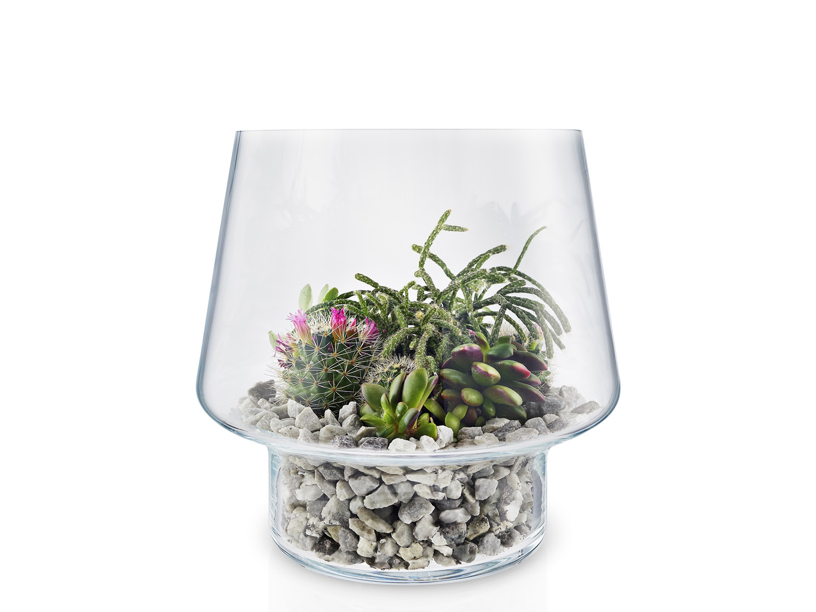 Wazon szklany Eva Solo Succulent Glass L
