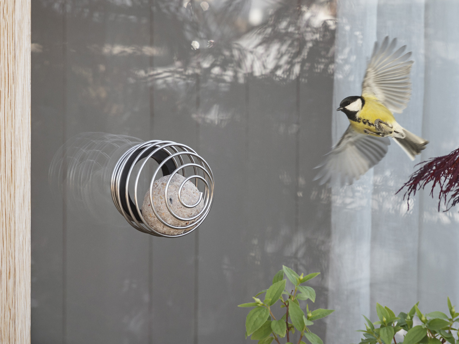 Karmnik na kule tłuszczowe dla ptaków Eva Solo Window Suet Feeder