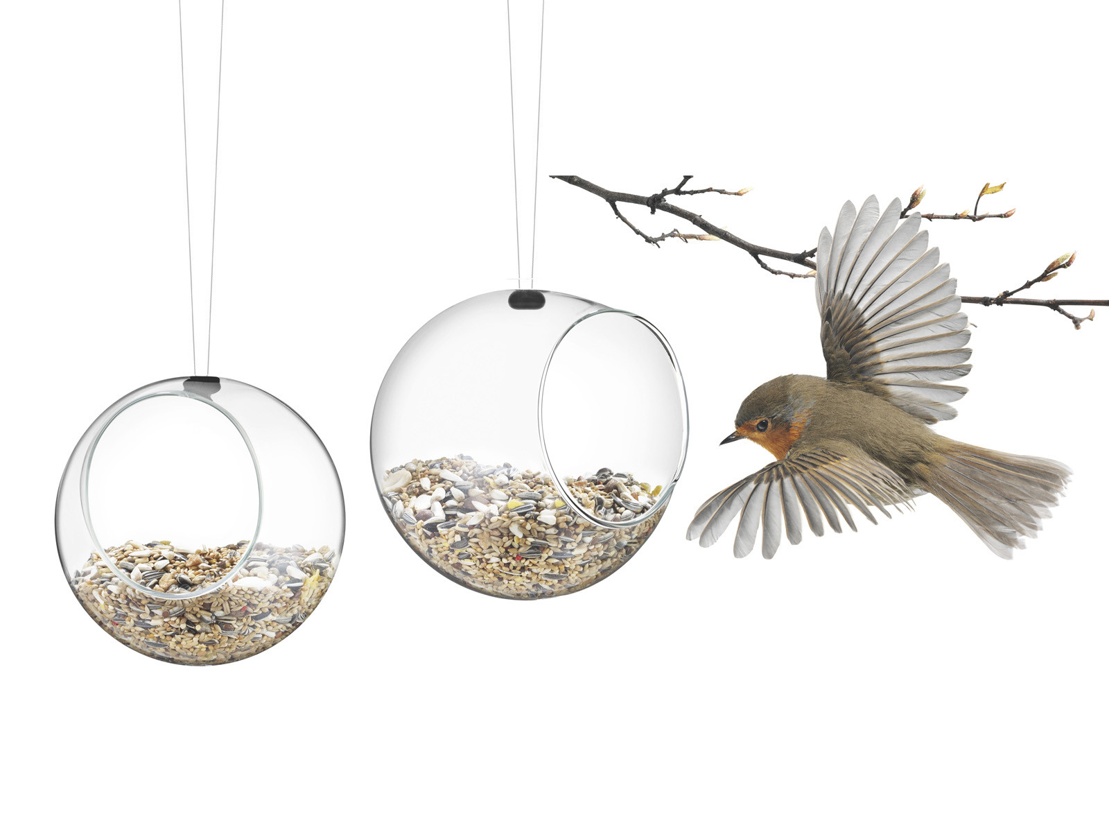 Karmnik dla ptaków zestaw x2 Eva Solo Suet Feeder Glass Set 
